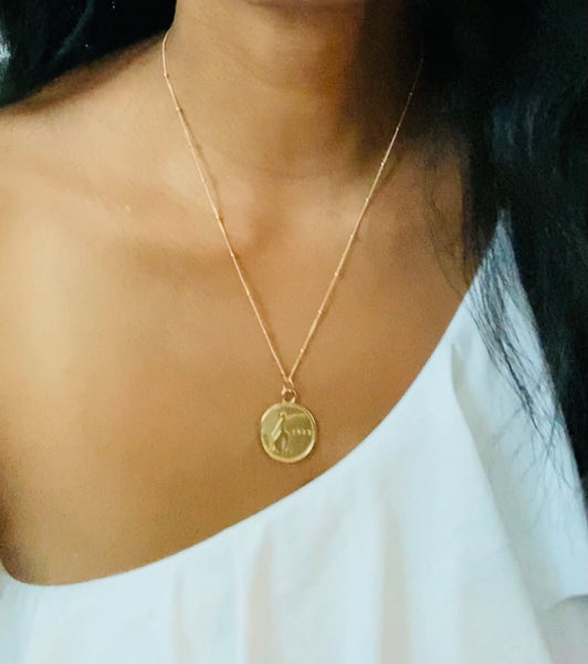 Fortitude Coin Necklace